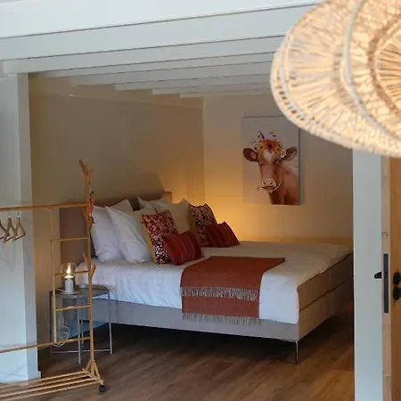 Terras בית הארחה Spang