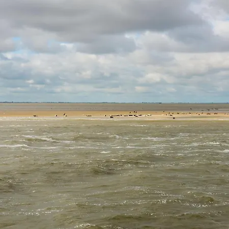 Terras בית הארחה Spang