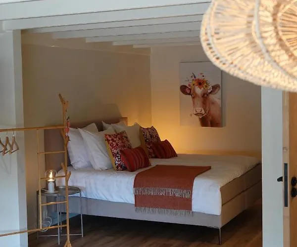 Terras Maison d'hôtes Spang