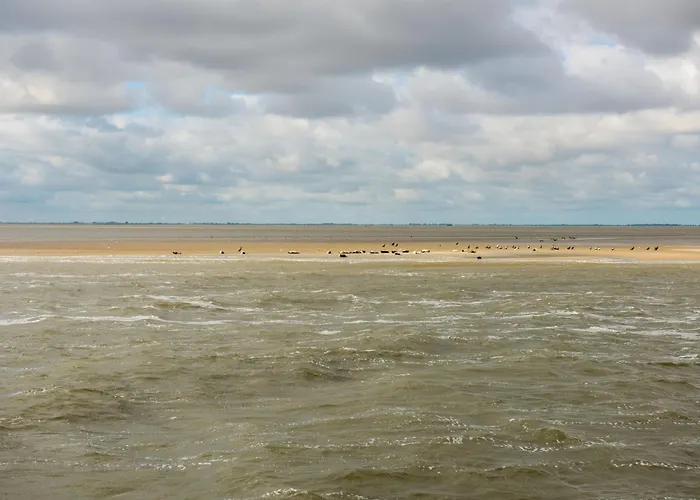 Terras Maison d'hôtes Spang